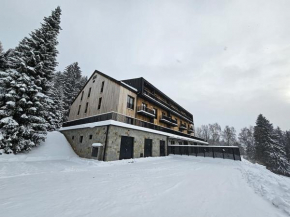 Rodinný ap Benecko s možností wellness by AlkaTravel
